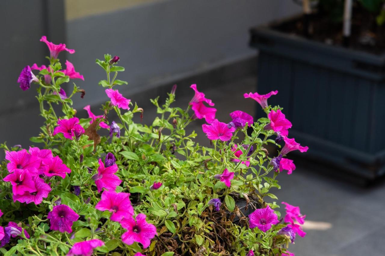 Bed and breakfast La Fonderia Florencia